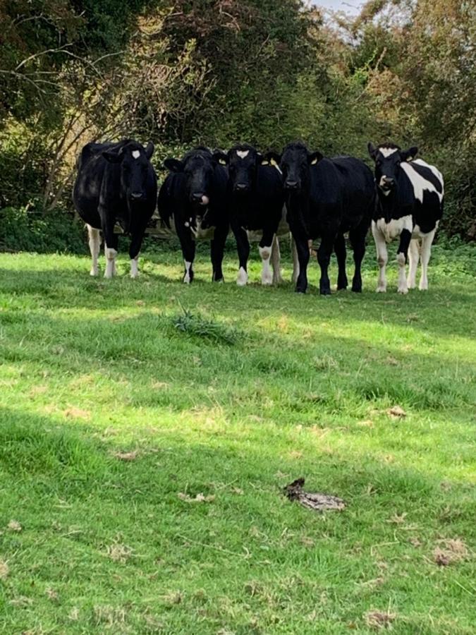 Church Farm, Legbourne Louth Zewnętrze zdjęcie